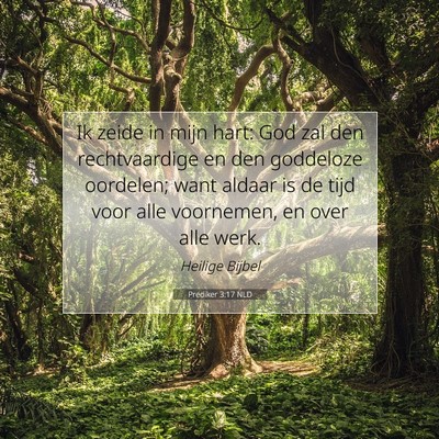 Picture 07 - Prediker 3:17 NLD - Ik zeide in mijn hart: God zal den rechtvaardige - Bible Verse Picture