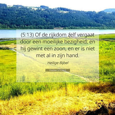 Picture 07 - Prediker 5:14 NLD - (5:13) Of de rijkdom zelf vergaat door een - Bible Verse Picture