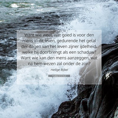 Picture 07 - Prediker 6:12 NLD - Want wie weet, wat goed is voor den mens in dit - Bible Verse Picture
