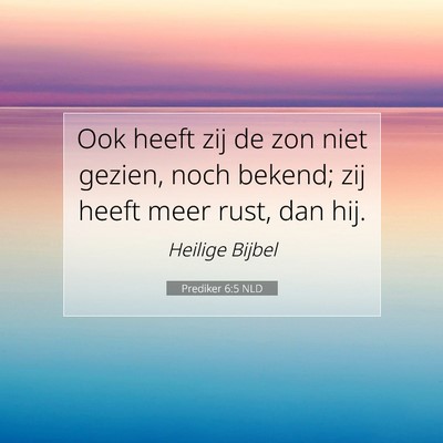 Picture 07 - Prediker 6:5 NLD - Ook heeft zij de zon niet gezien, noch bekend; - Bible Verse Picture