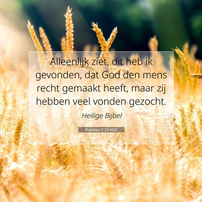 Picture 07 - Prediker 7:29 NLD - Alleenlijk ziet, dit heb ik gevonden, dat God den - Bible Verse Picture