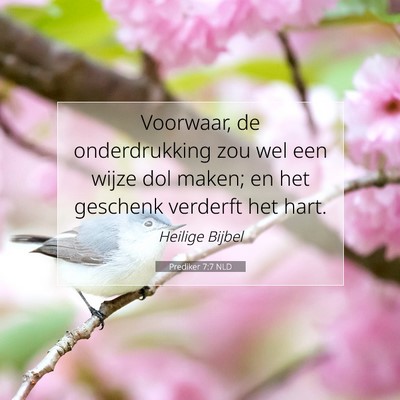 Picture 07 - Prediker 7:7 NLD - Voorwaar, de onderdrukking zou wel een wijze dol - Bible Verse Picture
