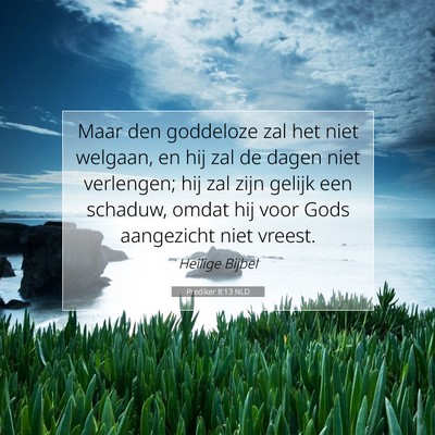 Picture 07 - Prediker 8:13 NLD - Maar den goddeloze zal het niet welgaan, en hij - Bible Verse Picture
