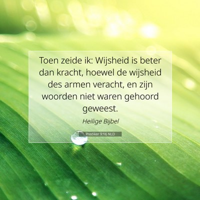 Picture 07 - Prediker 9:16 NLD - Toen zeide ik: Wijsheid is beter dan kracht, - Bible Verse Picture