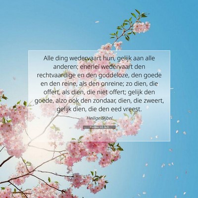 Picture 07 - Prediker 9:2 NLD - Alle ding wedervaart hun, gelijk aan alle - Bible Verse Picture