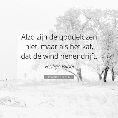 Picture 07 - Psalmen 1:4 NLD - Alzo zijn de goddelozen niet, maar als het kaf, - Bible Verse Picture