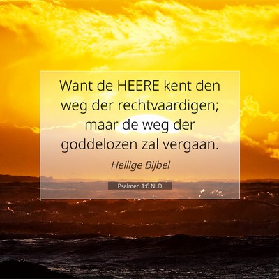 Picture 07 - Psalmen 1:6 NLD - Want de HEERE kent den weg der rechtvaardigen; - Bible Verse Picture