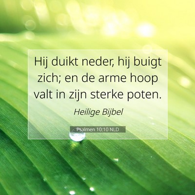 Picture 07 - Psalmen 10:10 NLD - Hij duikt neder, hij buigt zich; en de arme hoop - Bible Verse Picture