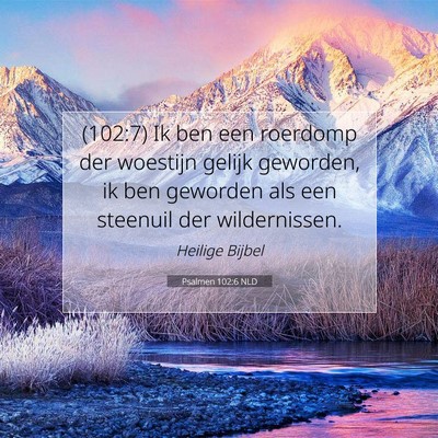 Picture 07 - Psalmen 102:6 NLD - (102:7) Ik ben een roerdomp der woestijn gelijk - Bible Verse Picture
