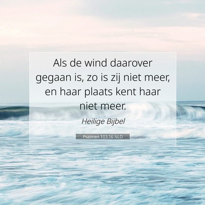 Picture 07 - Psalmen 103:16 NLD - Als de wind daarover gegaan is, zo is zij niet - Bible Verse Picture