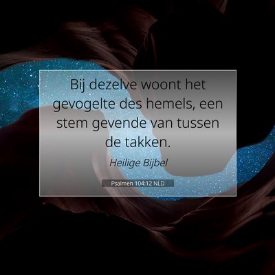 Picture 07 - Psalmen 104:12 NLD - Bij dezelve woont het gevogelte des hemels, een - Bible Verse Picture