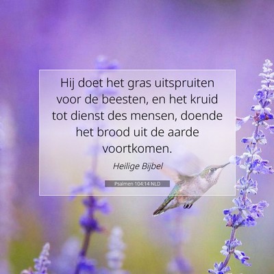 Picture 07 - Psalmen 104:14 NLD - Hij doet het gras uitspruiten voor de beesten, en - Bible Verse Picture