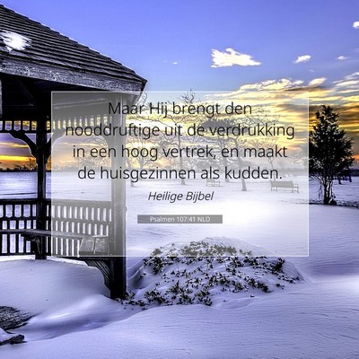 Picture 07 - Psalmen 107:41 NLD - Maar Hij brengt den nooddruftige uit de - Bible Verse Picture