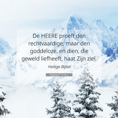 Picture 07 - Psalmen 11:5 NLD - De HEERE proeft den rechtvaardige; maar den - Bible Verse Picture