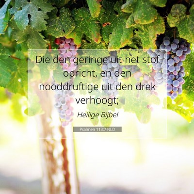 Picture 07 - Psalmen 113:7 NLD - Die den geringe uit het stof opricht, en den - Bible Verse Picture