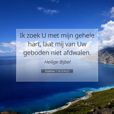 Picture 07 - Psalmen 119:10 NLD - Ik zoek U met mijn gehele hart, laat mij van Uw - Bible Verse Picture