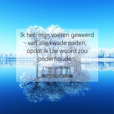 Picture 07 - Psalmen 119:101 NLD - Ik heb mijn voeten geweerd van alle kwade paden, - Bible Verse Picture