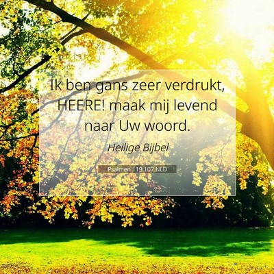 Picture 07 - Psalmen 119:107 NLD - Ik ben gans zeer verdrukt, HEERE! maak mij levend - Bible Verse Picture