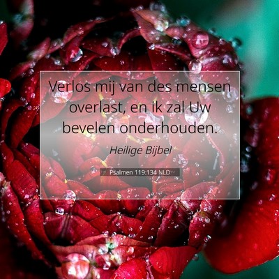 Picture 07 - Psalmen 119:134 NLD - Verlos mij van des mensen overlast, en ik zal Uw - Bible Verse Picture
