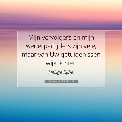 Picture 07 - Psalmen 119:157 NLD - Mijn vervolgers en mijn wederpartijders zijn - Bible Verse Picture