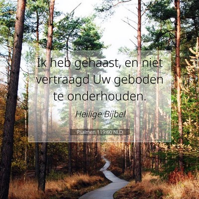 Picture 07 - Psalmen 119:60 NLD - Ik heb gehaast, en niet vertraagd Uw geboden te - Bible Verse Picture