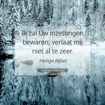 Picture 07 - Psalmen 119:8 NLD - Ik zal Uw inzettingen bewaren; verlaat mij niet - Bible Verse Picture