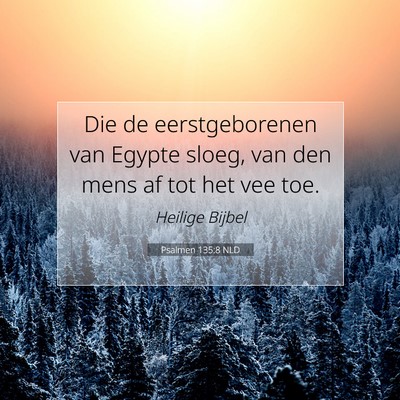 Picture 07 - Psalmen 135:8 NLD - Die de eerstgeborenen van Egypte sloeg, van den - Bible Verse Picture