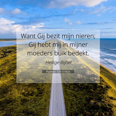 Picture 07 - Psalmen 139:13 NLD - Want Gij bezit mijn nieren; Gij hebt mij in - Bible Verse Picture