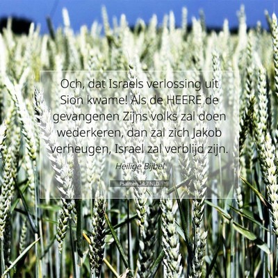 Picture 07 - Psalmen 14:7 NLD - Och, dat Israels verlossing uit Sion kwame! Als - Bible Verse Picture