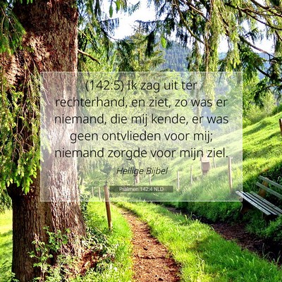 Picture 07 - Psalmen 142:4 NLD - (142:5) Ik zag uit ter rechterhand, en ziet, zo - Bible Verse Picture