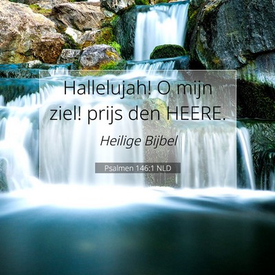 Picture 07 - Psalmen 146:1 NLD - Hallelujah! O mijn ziel! prijs den - Bible Verse Picture