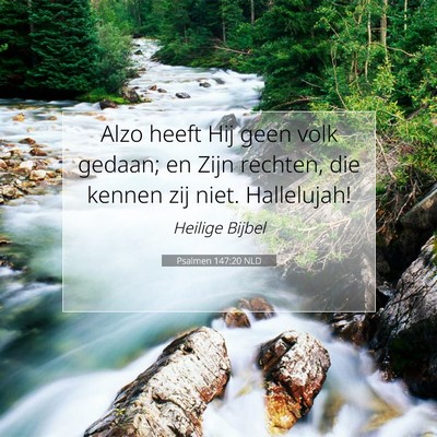 Picture 07 - Psalmen 147:20 NLD - Alzo heeft Hij geen volk gedaan; en Zijn rechten, - Bible Verse Picture