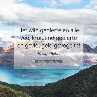 Picture 07 - Psalmen 148:10 NLD - Het wild gedierte en alle vee; kruipend gedierte - Bible Verse Picture