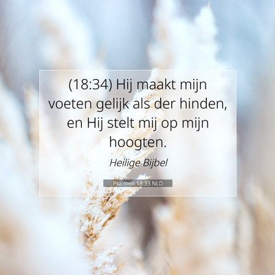 Picture 07 - Psalmen 18:33 NLD - (18:34) Hij maakt mijn voeten gelijk als der - Bible Verse Picture
