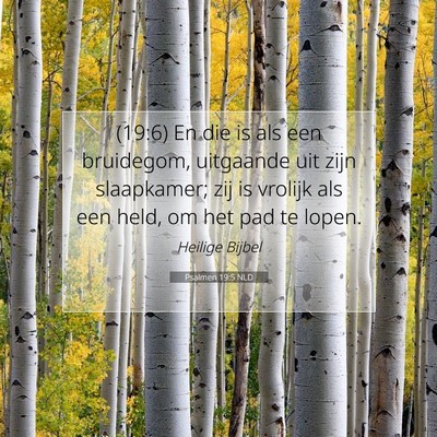 Picture 07 - Psalmen 19:5 NLD - (19:6) En die is als een bruidegom, uitgaande uit - Bible Verse Picture