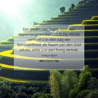 Picture 07 - Psalmen 20:1 NLD - Een psalm van David, voor den opperzangmeester. - Bible Verse Picture