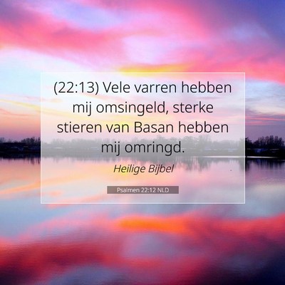 Picture 07 - Psalmen 22:12 NLD - (22:13) Vele varren hebben mij omsingeld, sterke - Bible Verse Picture