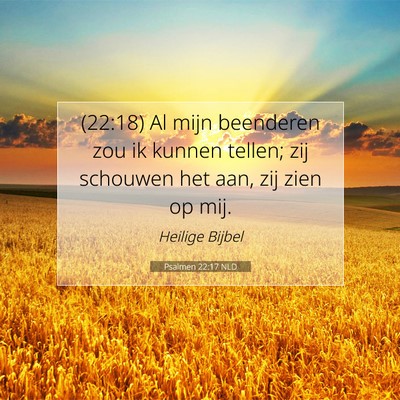 Picture 07 - Psalmen 22:17 NLD - (22:18) Al mijn beenderen zou ik kunnen tellen; - Bible Verse Picture