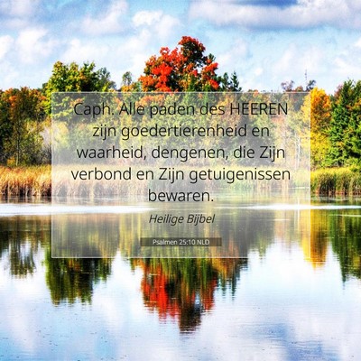 Picture 07 - Psalmen 25:10 NLD - Caph. Alle paden des HEEREN zijn goedertierenheid - Bible Verse Picture