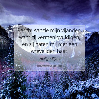 Picture 07 - Psalmen 25:19 NLD - Resch. Aanzie mijn vijanden, want zij - Bible Verse Picture