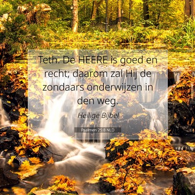 Picture 07 - Psalmen 25:8 NLD - Teth. De HEERE is goed en recht; daarom zal Hij - Bible Verse Picture