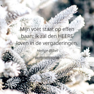 Picture 07 - Psalmen 26:12 NLD - Mijn voet staat op effen baan; ik zal den HEERE - Bible Verse Picture