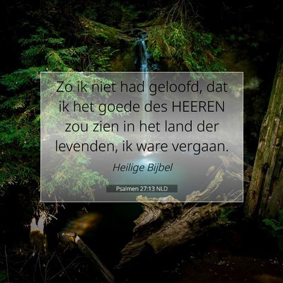 Picture 07 - Psalmen 27:13 NLD - Zo ik niet had geloofd, dat ik het goede des - Bible Verse Picture