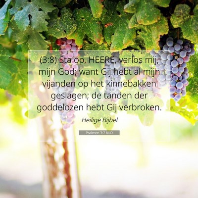 Picture 07 - Psalmen 3:7 NLD - (3:8) Sta op, HEERE, verlos mij, mijn God; want - Bible Verse Picture