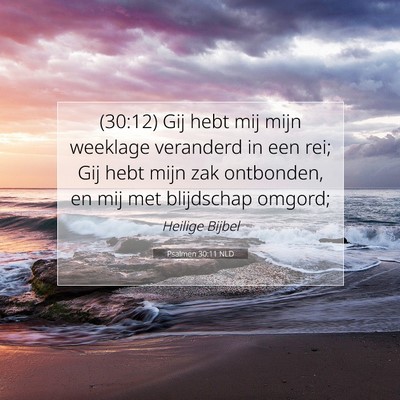 Picture 07 - Psalmen 30:11 NLD - (30:12) Gij hebt mij mijn weeklage veranderd in - Bible Verse Picture
