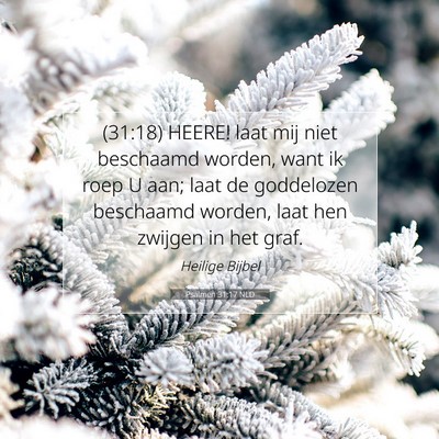 Picture 07 - Psalmen 31:17 NLD - (31:18) HEERE! laat mij niet beschaamd worden, - Bible Verse Picture