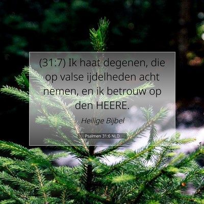 Picture 07 - Psalmen 31:6 NLD - (31:7) Ik haat degenen, die op valse ijdelheden - Bible Verse Picture