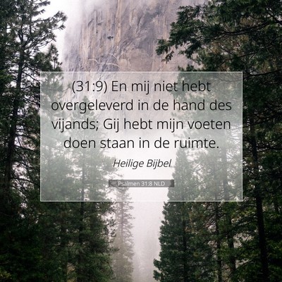 Picture 07 - Psalmen 31:8 NLD - (31:9) En mij niet hebt overgeleverd in de hand - Bible Verse Picture
