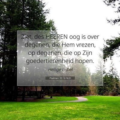 Picture 07 - Psalmen 33:18 NLD - Ziet, des HEEREN oog is over degenen, die Hem - Bible Verse Picture