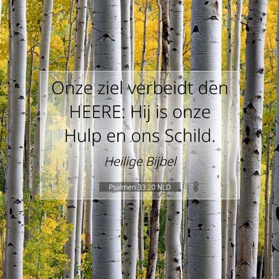 Picture 07 - Psalmen 33:20 NLD - Onze ziel verbeidt den HEERE: Hij is onze Hulp en - Bible Verse Picture